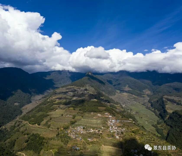 单反相机装镜头亚洲av日韩av高潮喷水，解锁摄影艺术的神秘面纱