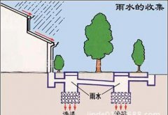 初期雨水收集為什么這么重要？